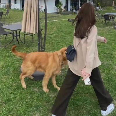 我们没有羽翼 海报